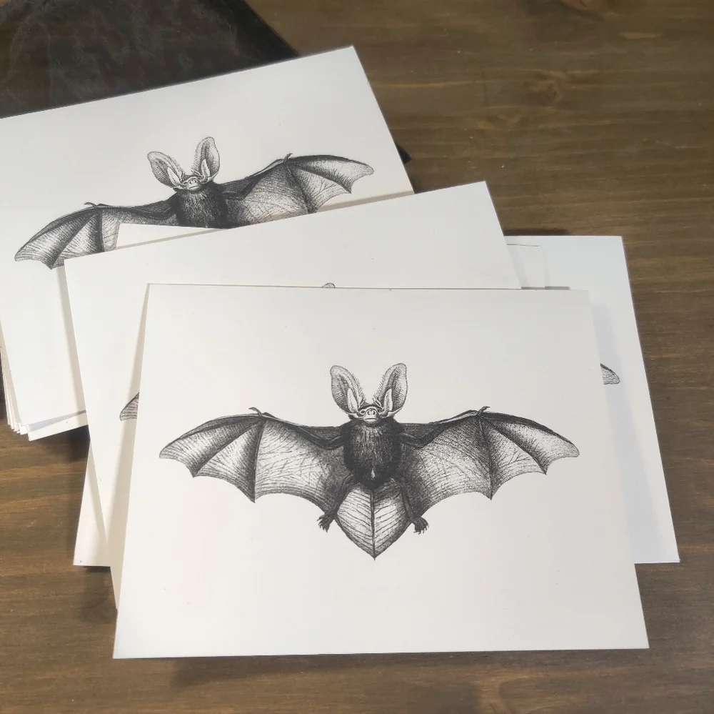 Blank Notecards - Bat - Set of 25 - Picture 3 of 3